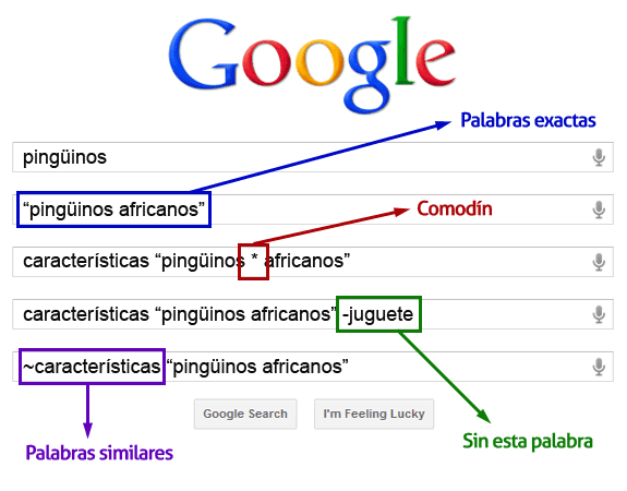 Pantalla con búsquedas básicas google